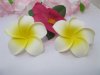 50 New Fabulous Foam Frangipani Flower 4.5x2cm
