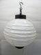 5Pcs Plain White Led Paper Lantern w/Mini Bulb 20cm