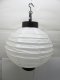 5Pcs Plain White Led Paper Lantern w/Mini Bulb 20cm 5Pcs Plain White Led Paper Lantern w/Mini Bulb 20cm