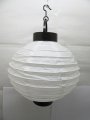 5Pcs Plain White Led Paper Lantern w/Mini Bulb 20cm
