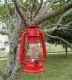 4Pcs Light Up Outdoor Camping Lantern Lamp Torch 12Led Red 4Pcs Light Up Outdoor Camping Lantern Lamp Torch 12Led Red