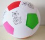 10 Inflatable Animal Printed Cloth Balls Outdoor Toys