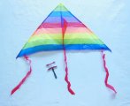 10Pcs Vivid Stunt Triangle Kite Lines Reel Outdoor Games