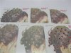84 Sheets Hair/Face Wedding Sticker Bindis Tattoo bh-t99