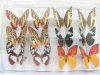 6Pair Clip Brooch Style Butterfly Home Decoration bh-ha47