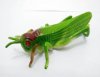 30 Soft Plastic Vivid Locust Great Toy 80mm