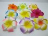 30 New Fabulous Foam Frangipani Flower 8x3.5cm Mixed