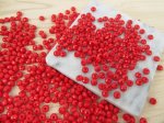3000Pcs Flat Round Faceted Spacer Beads 6x4mm - Red