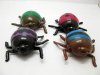 12X Funny Squishy Beetle Sticky Venting Toy for Kids 12X Funny Squishy Beetle Sticky Venting Toy for Kids