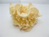 20 New Ivory Elastic Hair Tie Scrunchies Hair Elastic