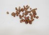 6200 Coffee Faceted Bicone Beads Jewellery Finding 6mm 6200 Coffee Faceted Bicone Beads Jewellery Finding 6mm