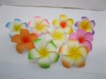 50 New Fabulous Foam Frangipani Flower 4.5x2cm Mixed