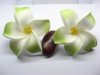 50 New Green Fabulous Foam Frangipani Flower 8x3.5cm 50 New Green Fabulous Foam Frangipani Flower 8x3.5cm