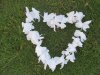 12X White Hawaiian Dress Party Flower Leis/Lei 8CM 12X White Hawaiian Dress Party Flower Leis/Lei 8CM