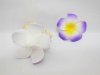 100 New Purple Fabulous Foam Frangipani Flower 4.5x2cm