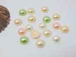 950Pcs Semi-Circle Simulated Pearl Bead Flatback Mixed Color