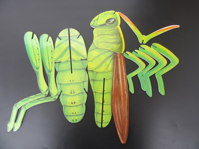 5Pcs 3D Foam The Locusts Puzzles Education Toy 5Pcs 3D Foam The Locusts Puzzles Education Toy