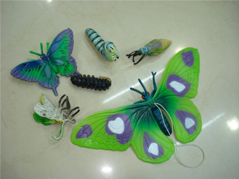 5Sets X 6pcs Collectable Butterfly World Toy Assorted - Click Image to Close